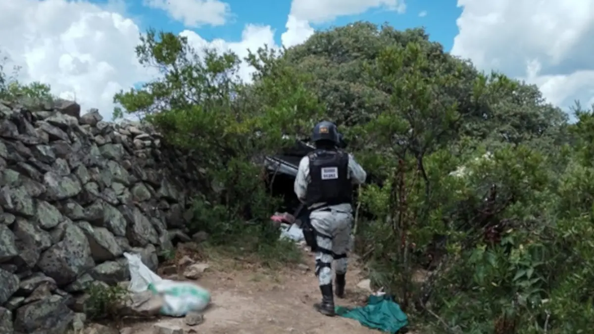 Elementos de la guardia nacional destruyeron campamentos clandestinos en zona serrana de jerez